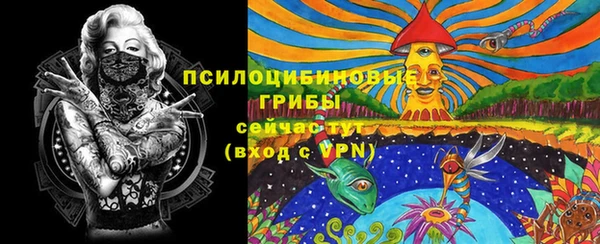 мет Новозыбков