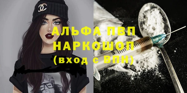 Альфа ПВП Новодвинск