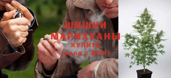 таблы Грязовец