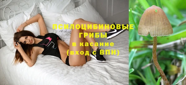 ECSTASY Нефтекумск