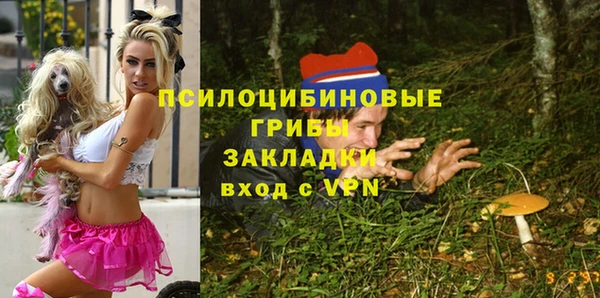 мет Новозыбков