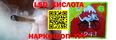 шишки Балахна