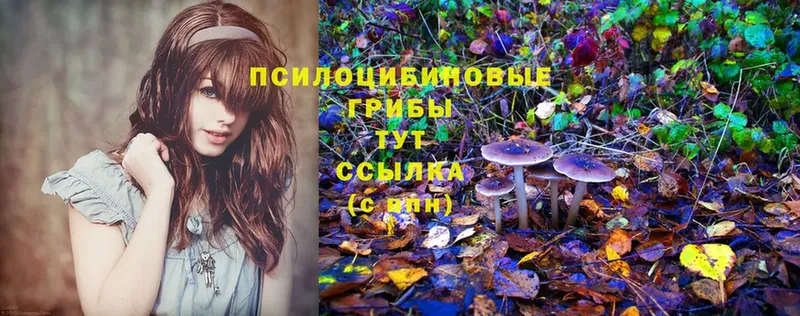 Псилоцибиновые грибы Psilocybe  Изобильный 